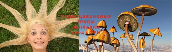 твердый Вяземский