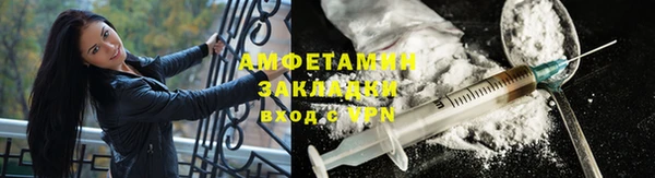 твердый Вяземский