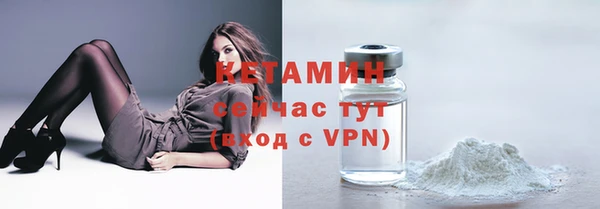 твердый Вяземский