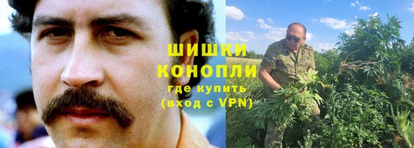 твердый Вяземский