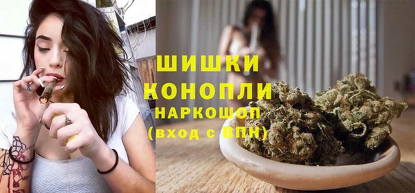 твердый Вяземский